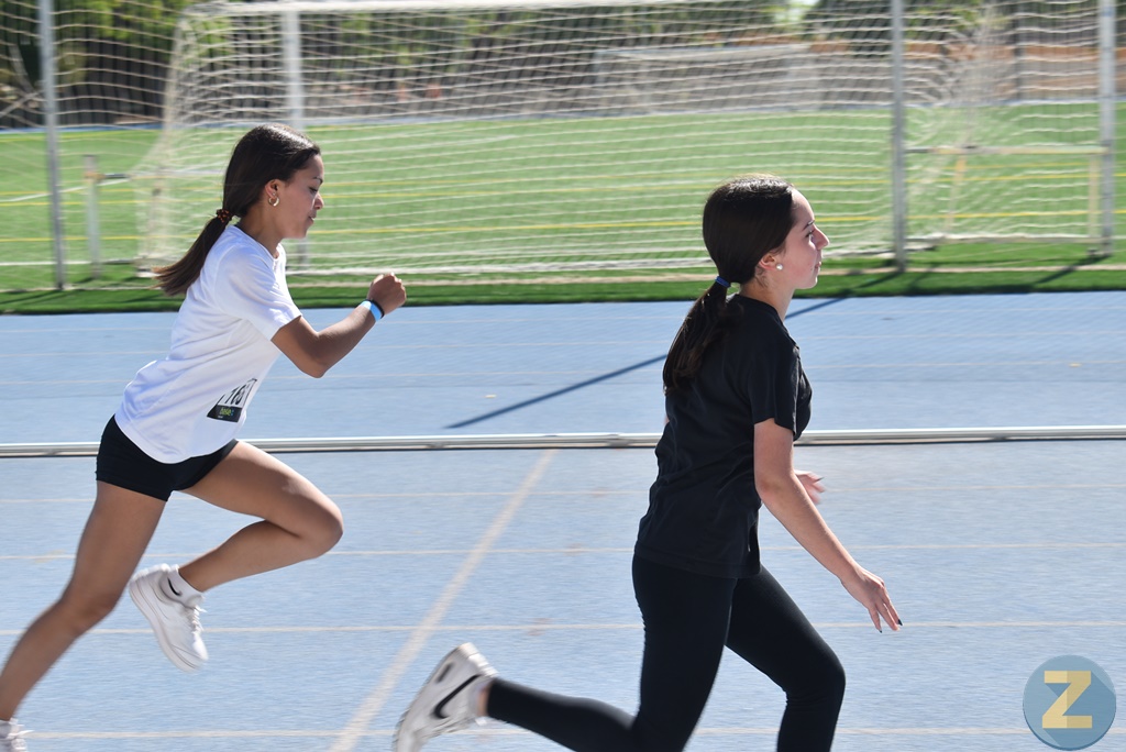 ob.imagen.Descripcion