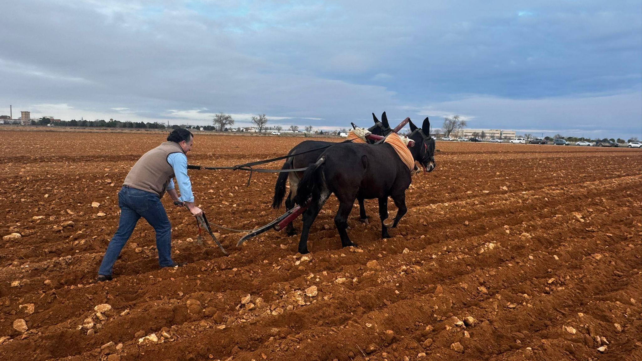 ob.imagen.Descripcion