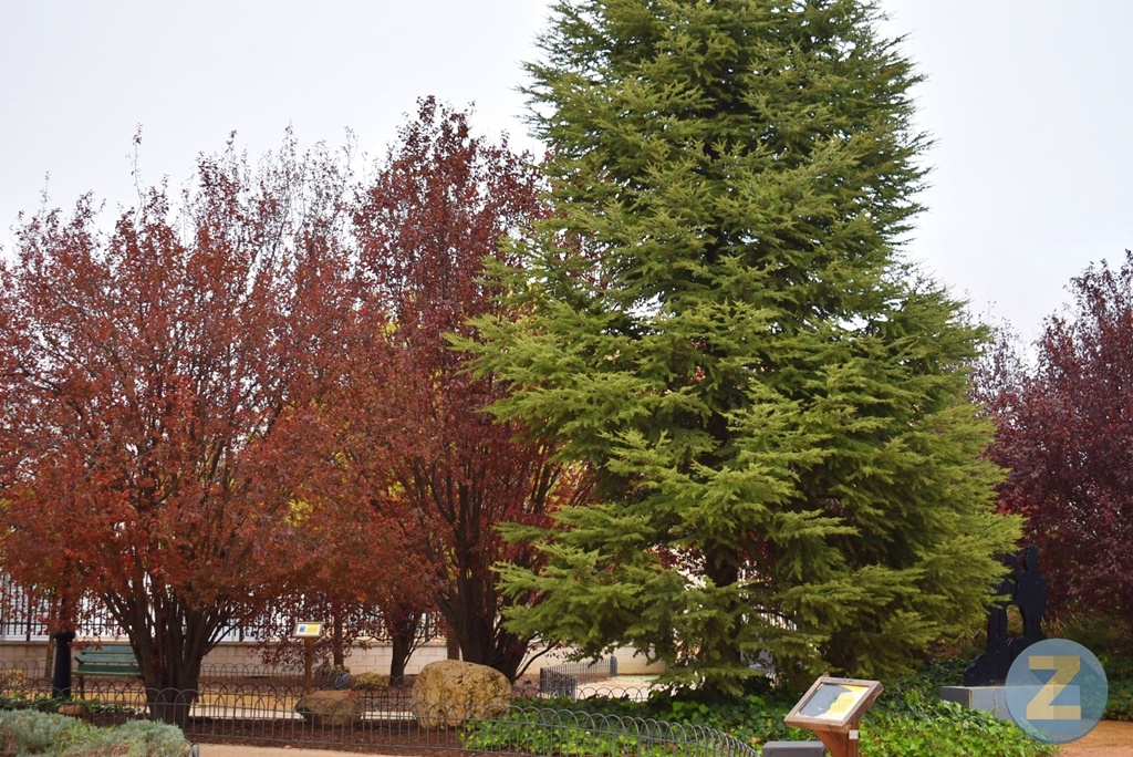 ob.imagen.Descripcion