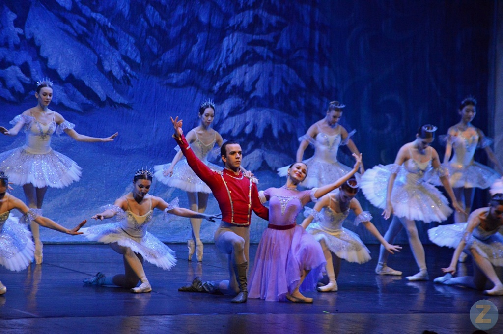 ob.imagen.Descripcion