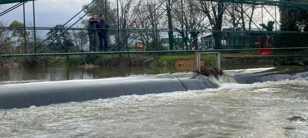 ob.imagen.Descripcion