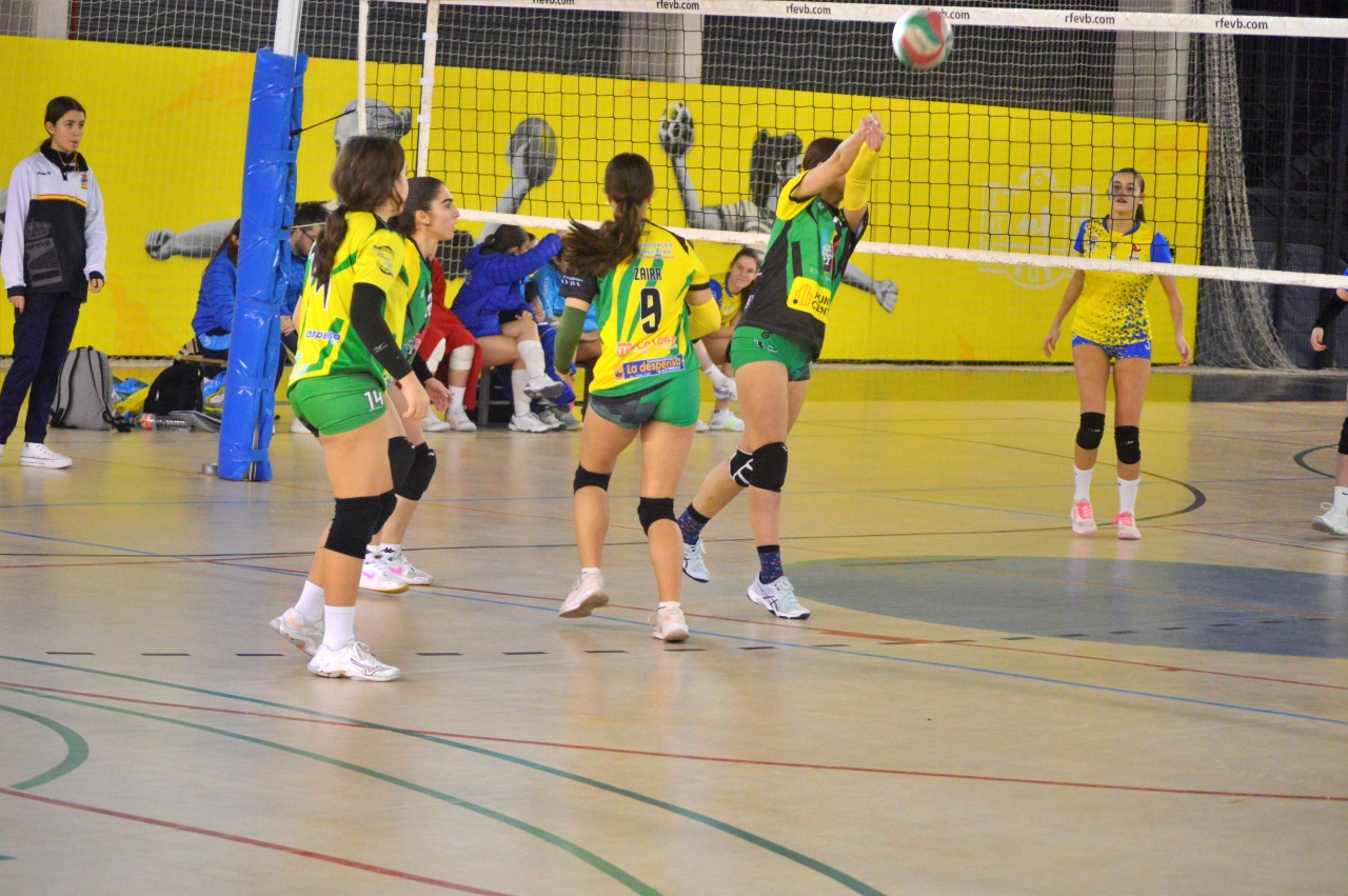 ob.imagen.Descripcion