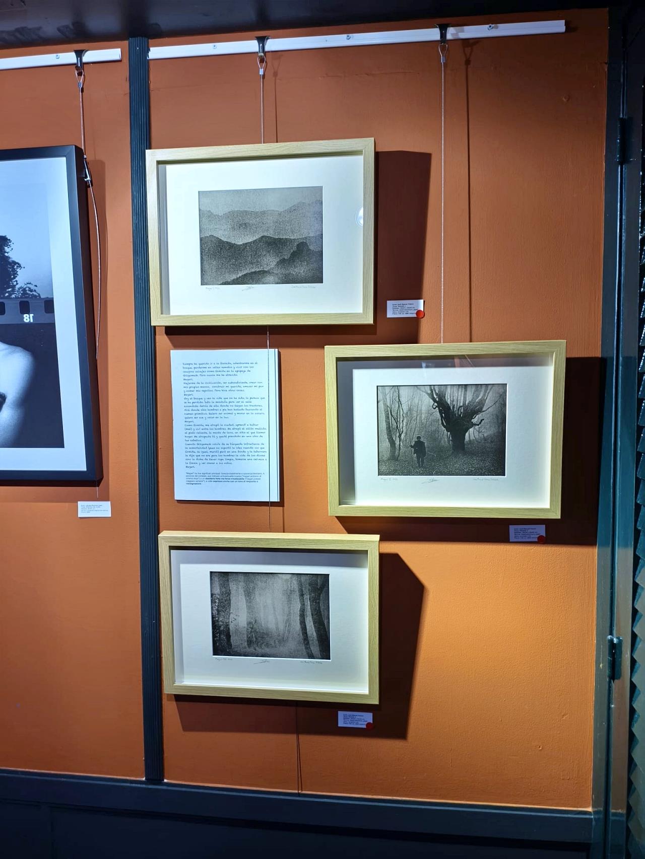 ob.imagen.Descripcion