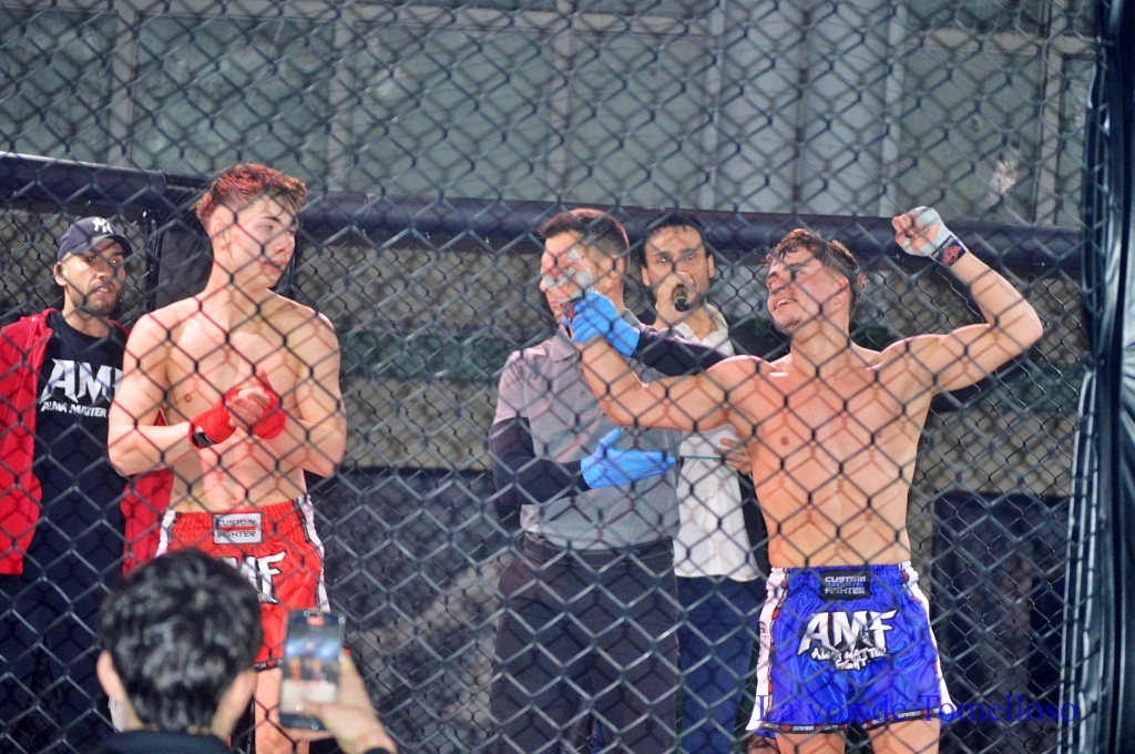 ob.imagen.Descripcion