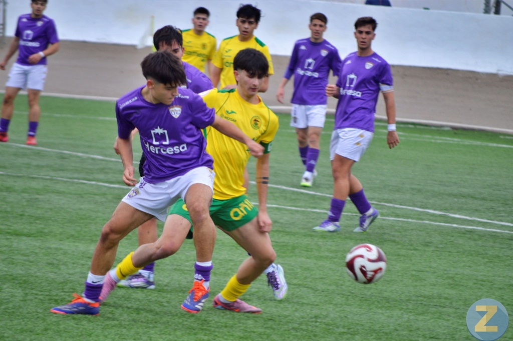 ob.imagen.Descripcion