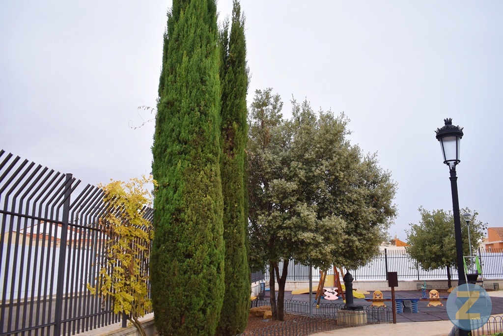 ob.imagen.Descripcion