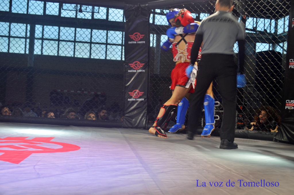 ob.imagen.Descripcion