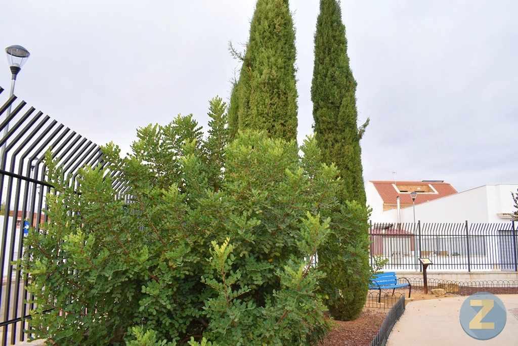 ob.imagen.Descripcion