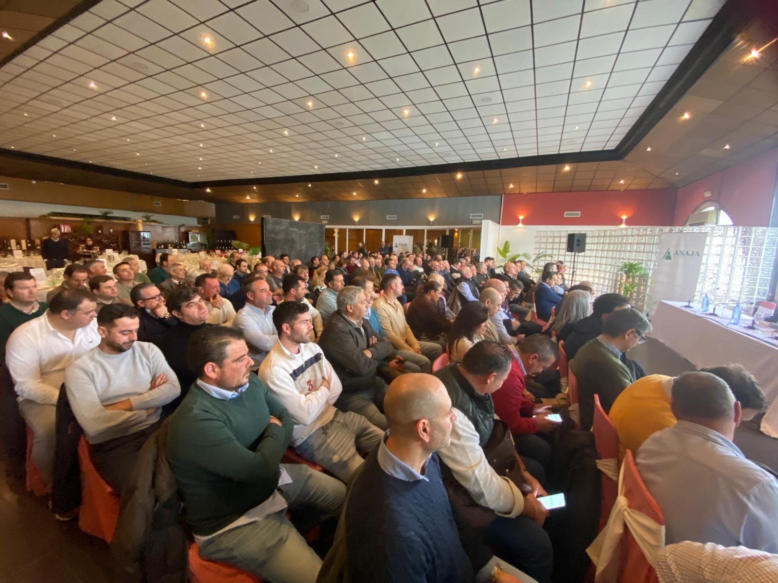 ob.imagen.Descripcion