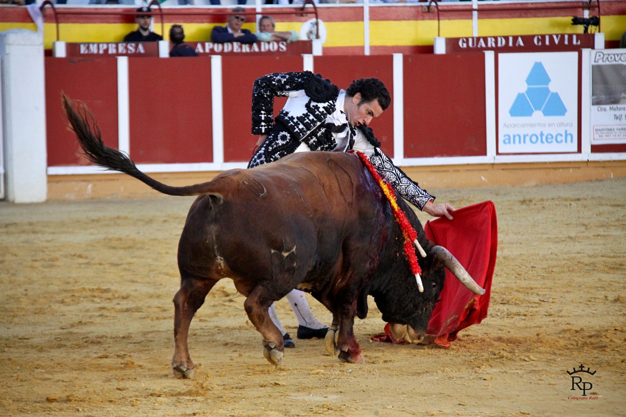 ob.imagen.Descripcion