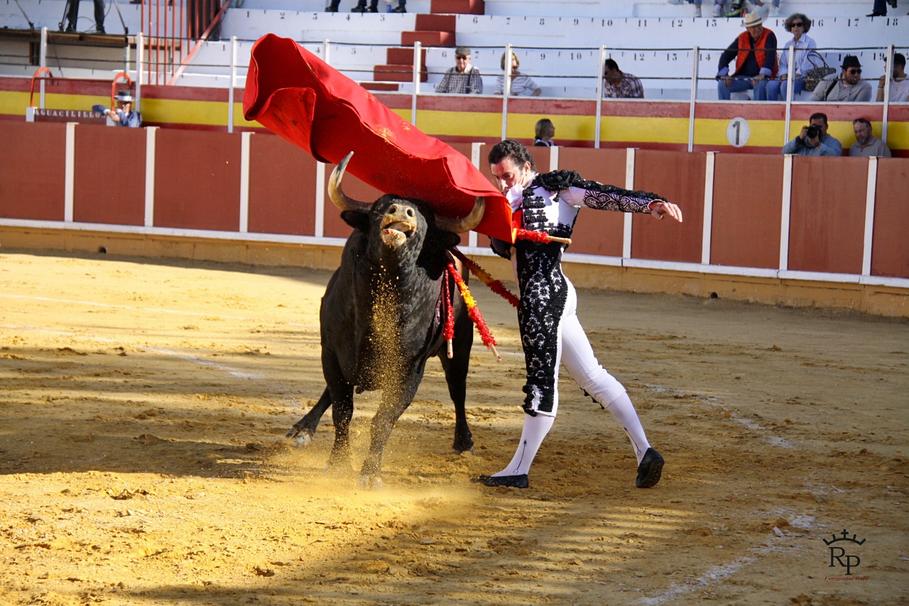 ob.imagen.Descripcion