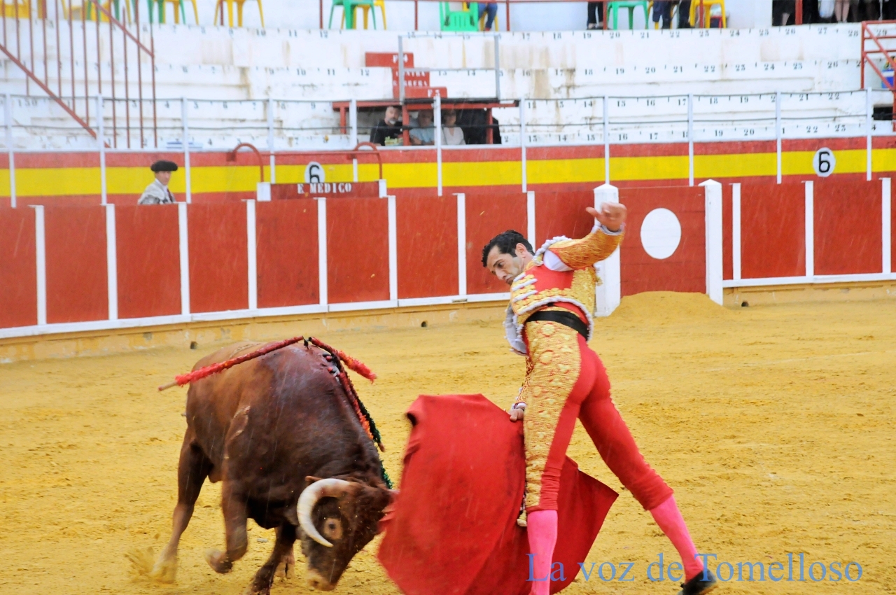 ob.imagen.Descripcion